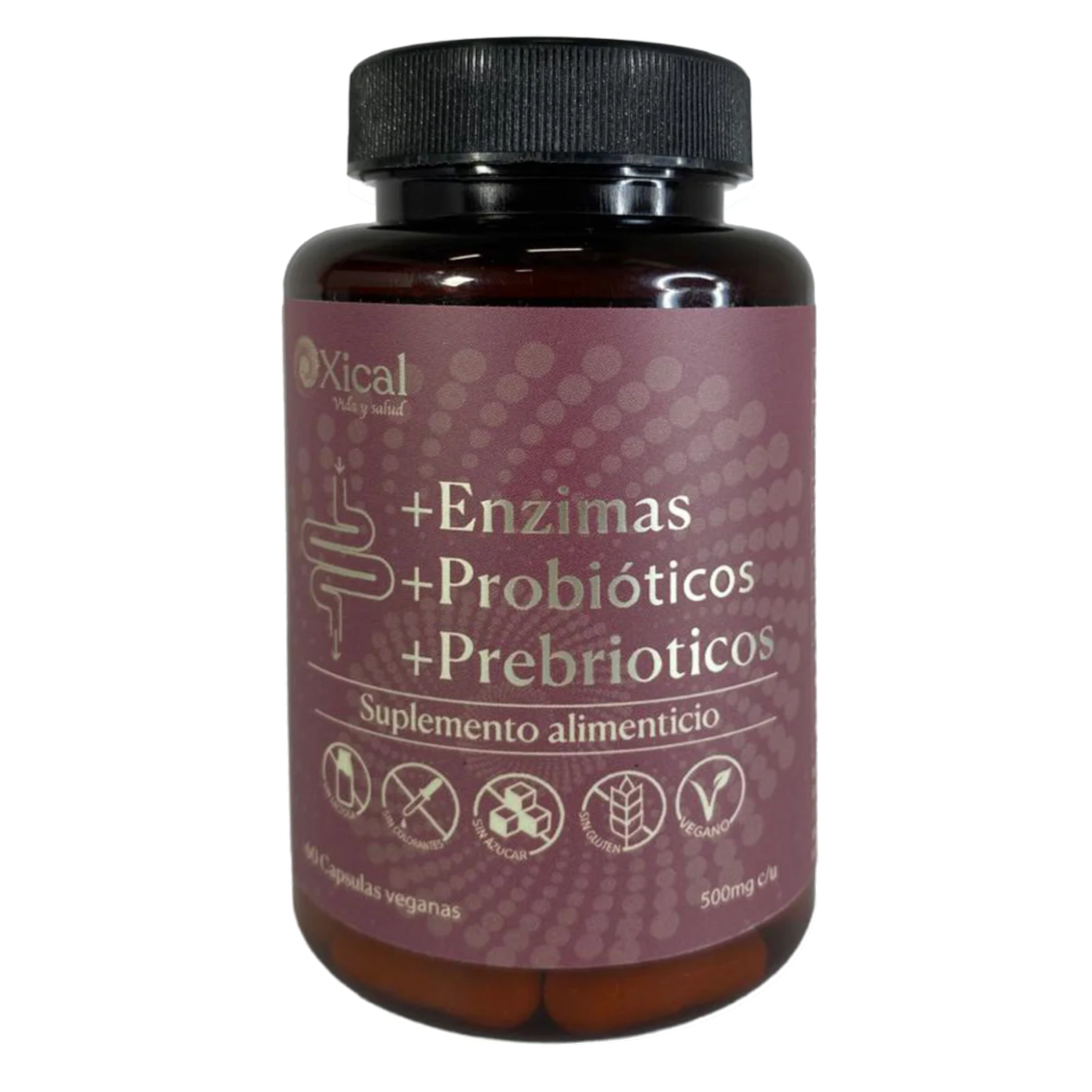 ENZIMAS + PROBIÓTICOS + PREBIÓTICOS