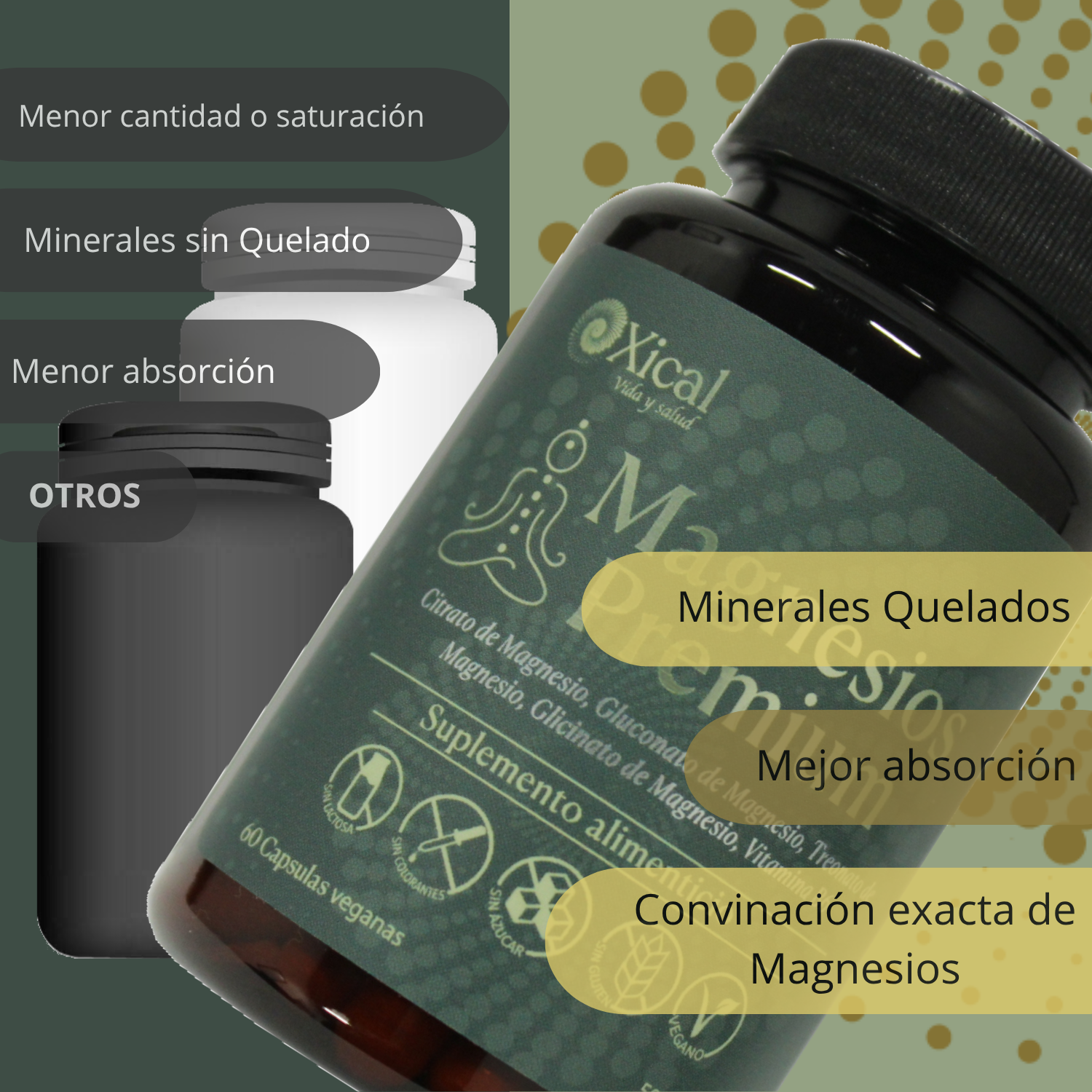 MAGNESIOS PREMIUM