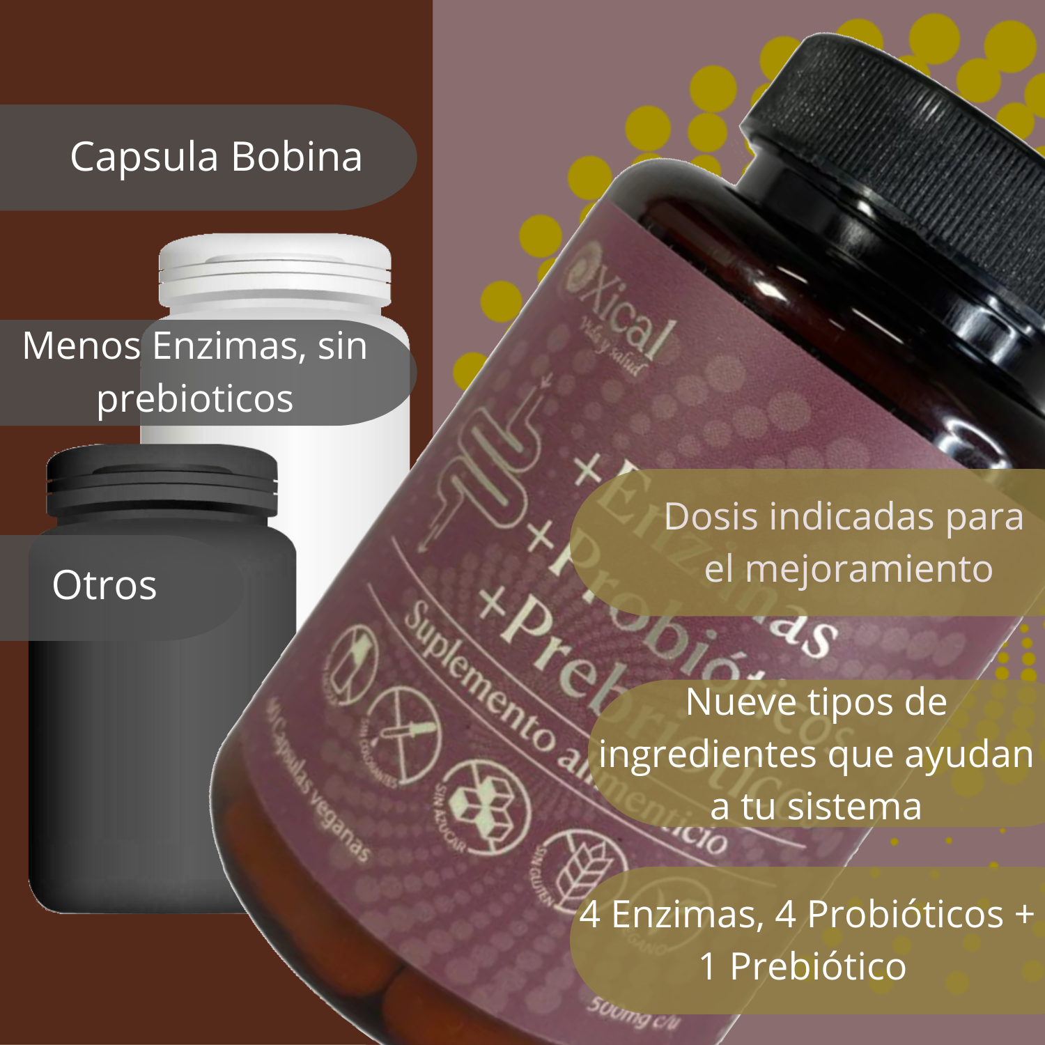 ENZIMAS + PROBIÓTICOS + PREBIÓTICOS