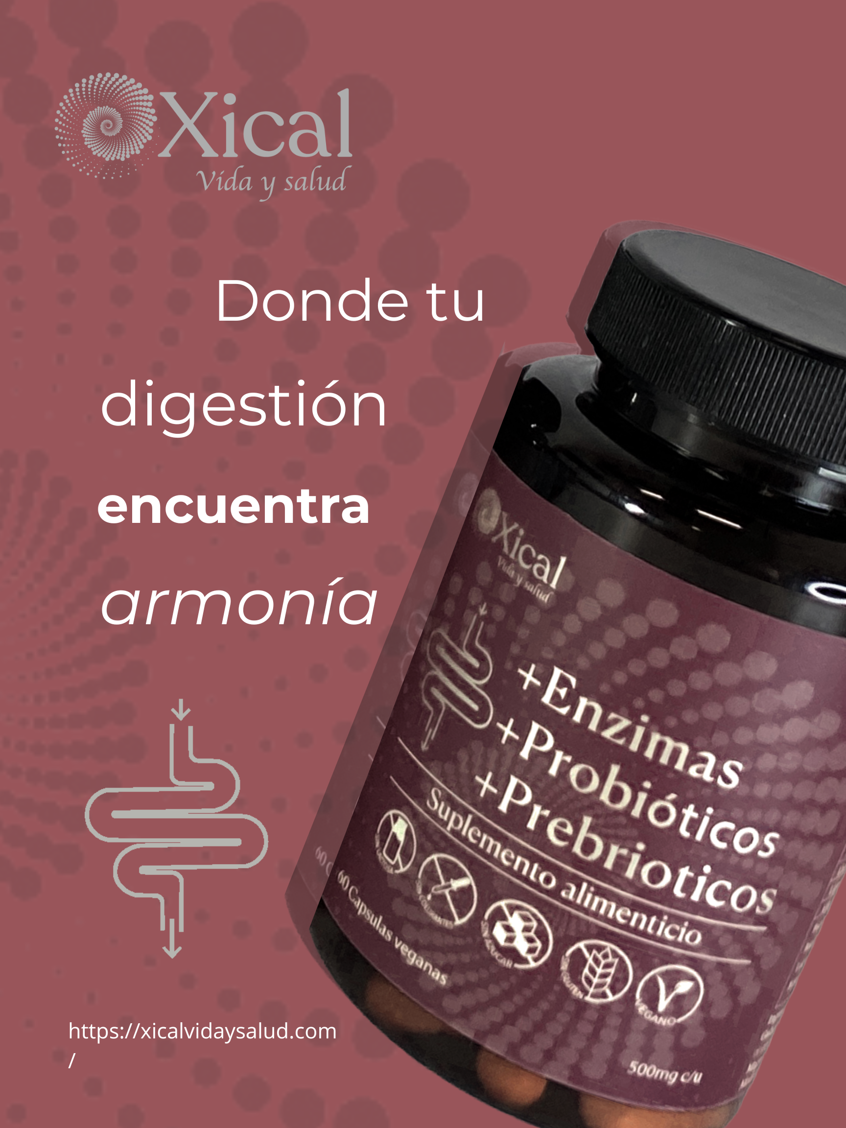 ENZIMAS + PROBIÓTICOS + PREBIÓTICOS